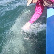 IMG 0001 2 (288)